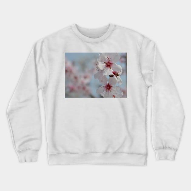 Bee in Almond Flower Crewneck Sweatshirt by jojobob